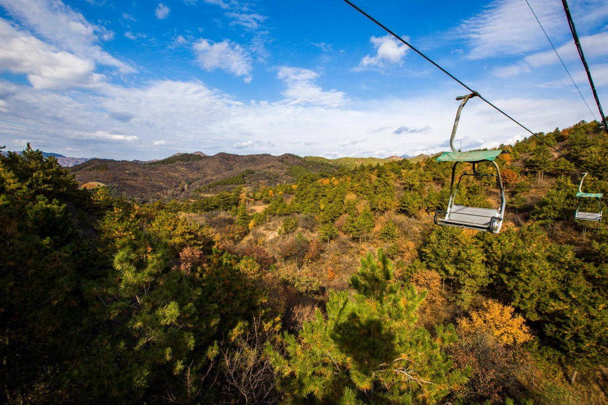 外出随拍（续324）.