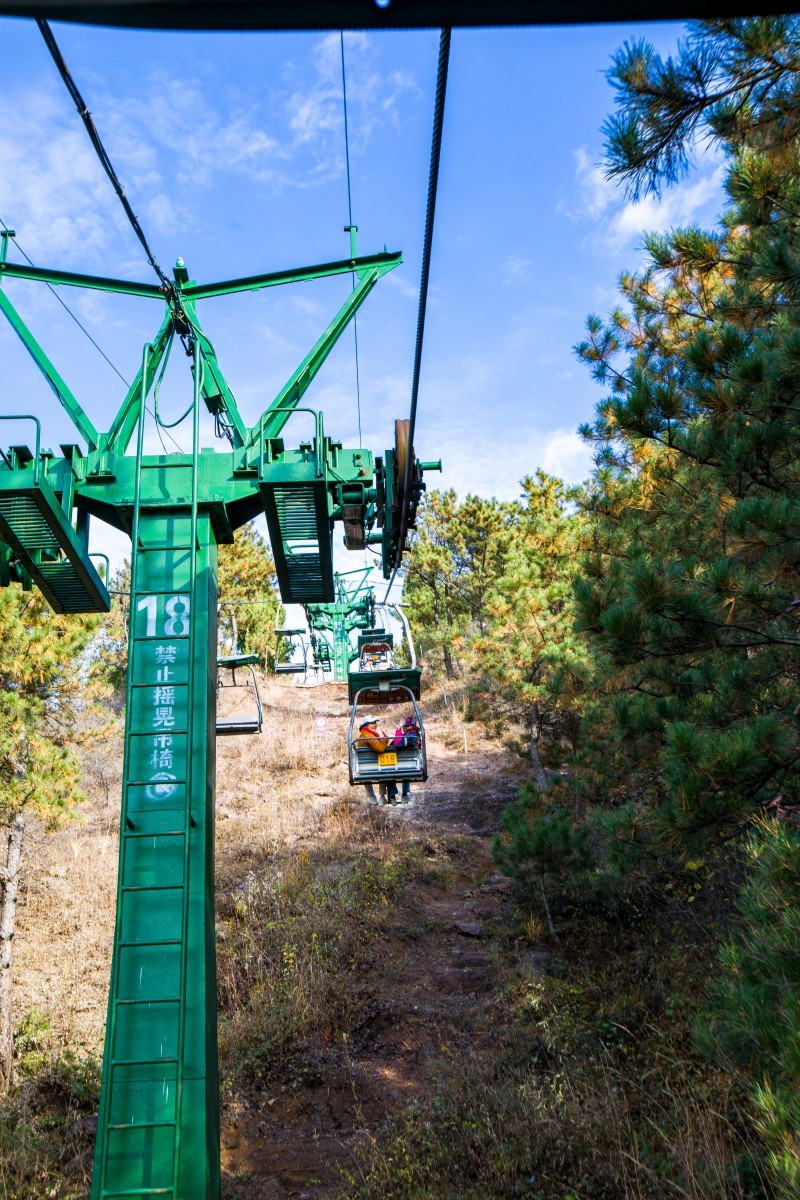 外出随拍（续324）.