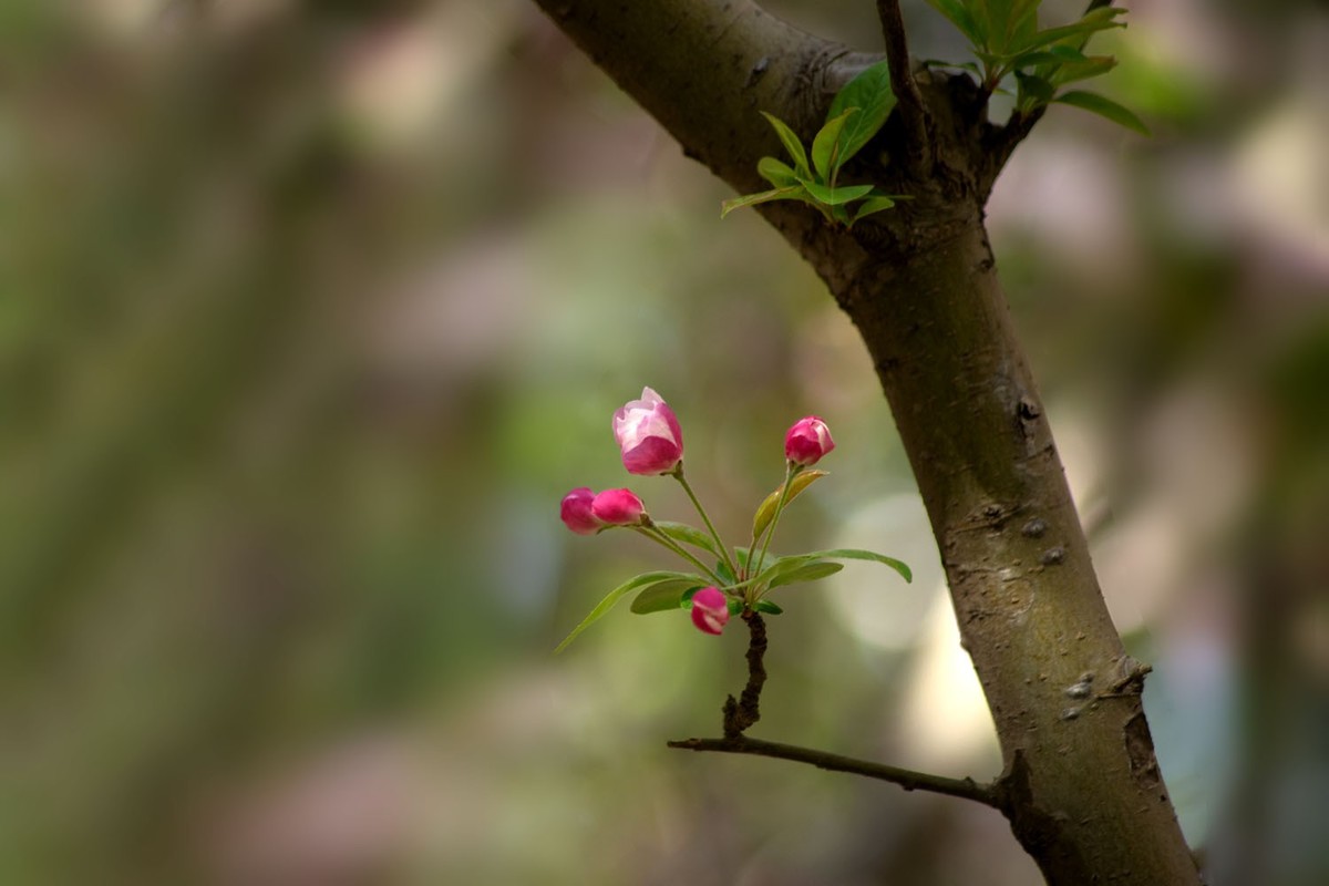故宫随拍（10）
