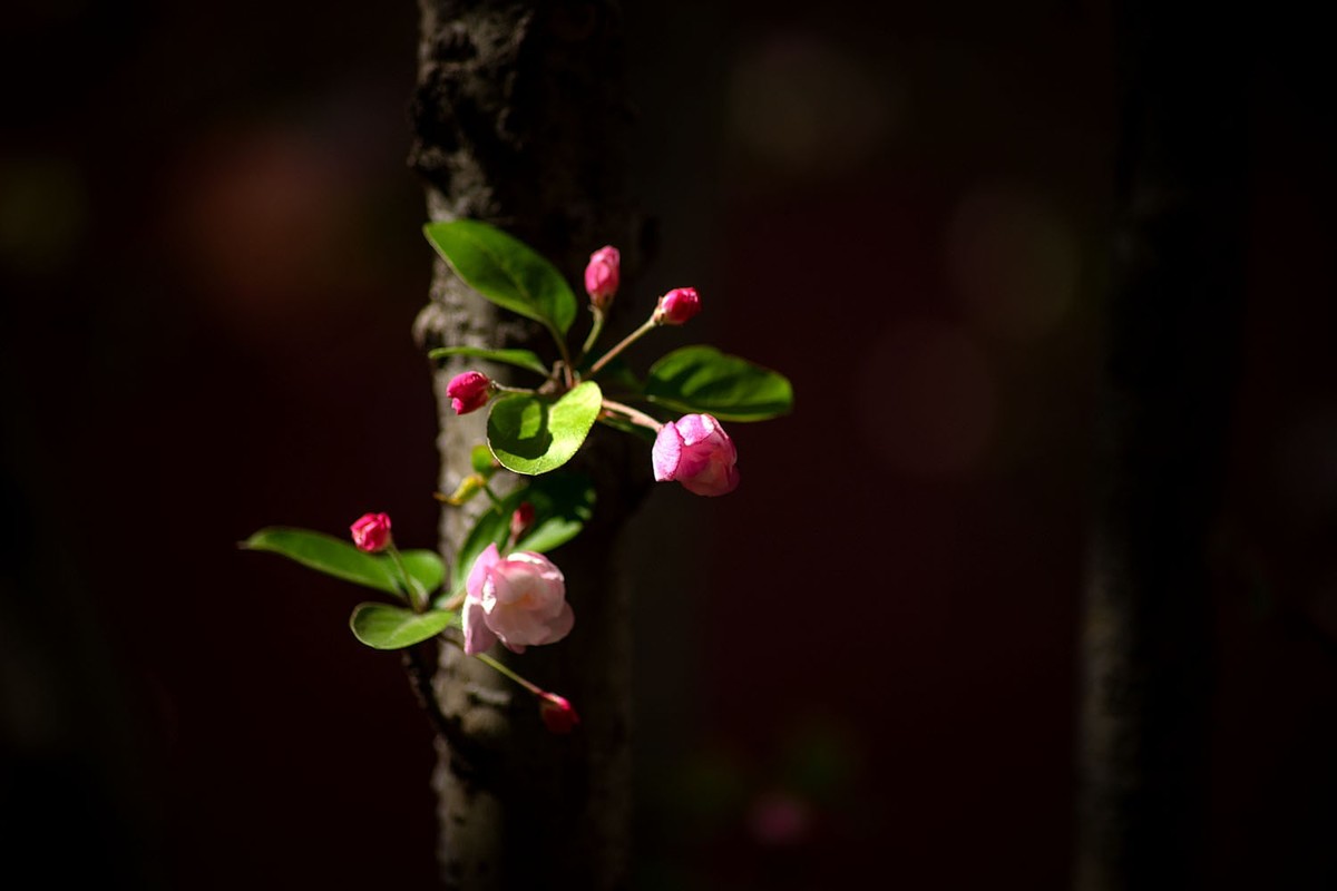 故宫随拍（10）