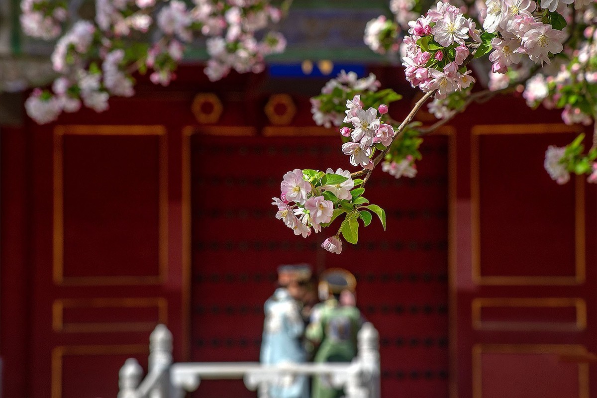 故宫随拍（10）