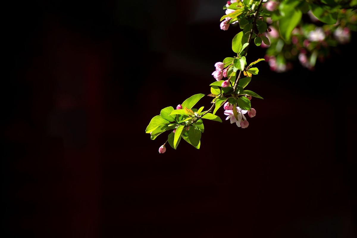 故宫随拍（10）