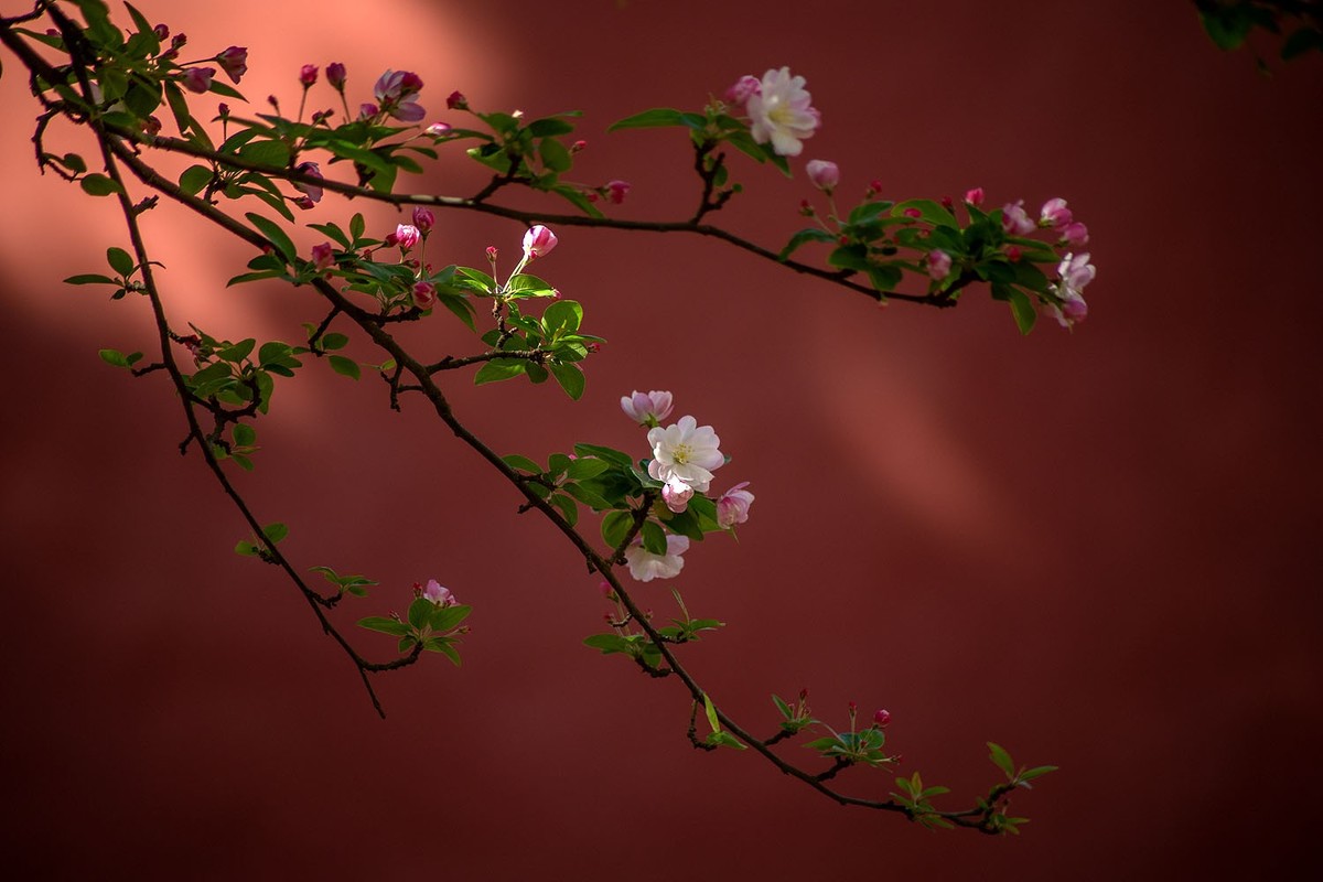 故宫随拍（10）