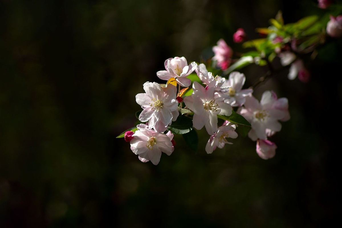 故宫随拍（10）