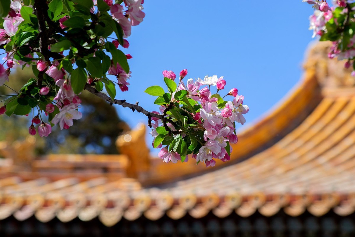 故宫随拍（10）