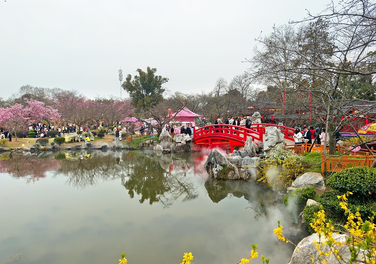 武汉东湖樱花园9