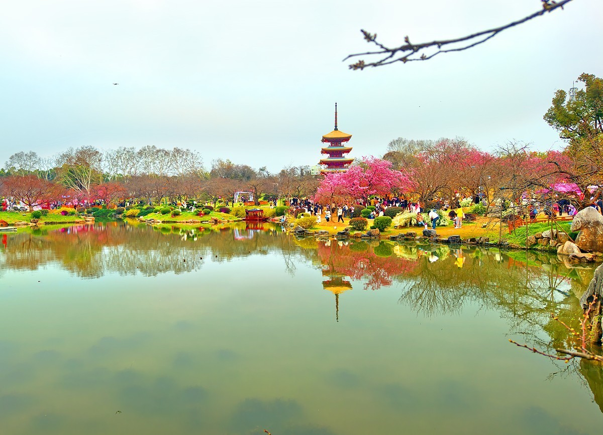 武汉东湖樱花园9