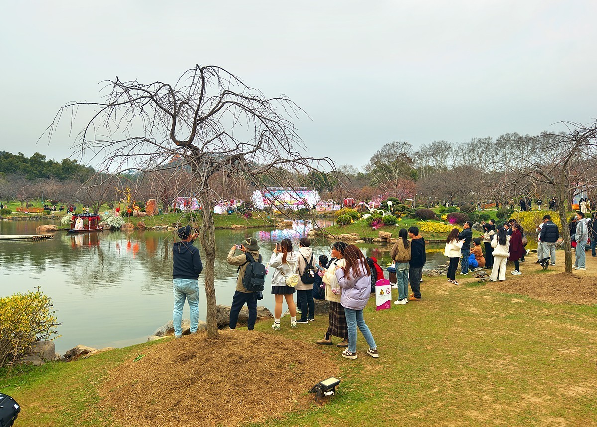 武汉东湖樱花园9