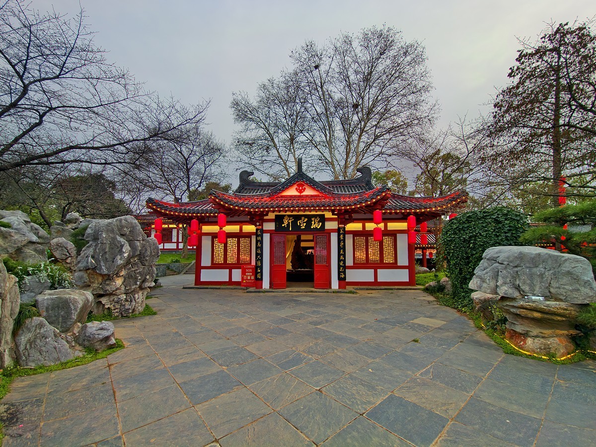 武汉东湖樱花园9