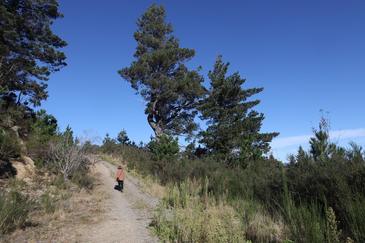 汉密尔敦温泉小镇随拍