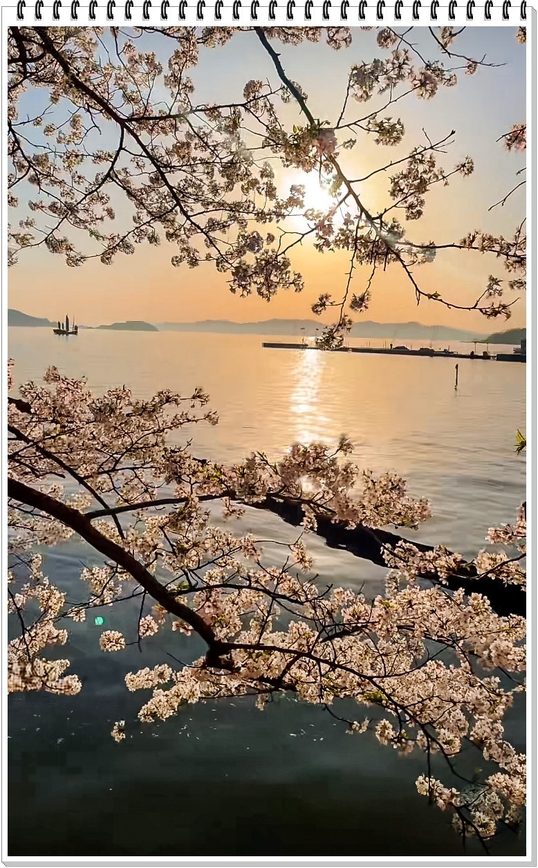 2025年- 总有日出和日落抓拍-0363