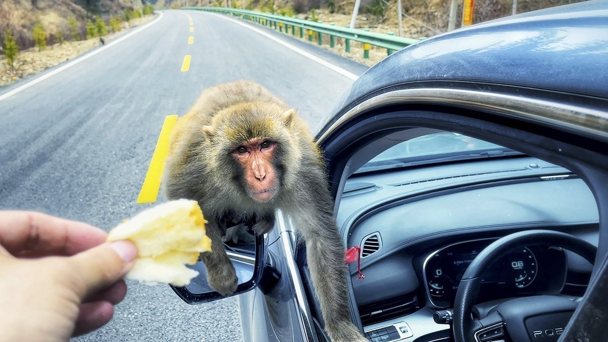 《你好，西藏！》又一次牵手之旅，依旧全程手机拍摄