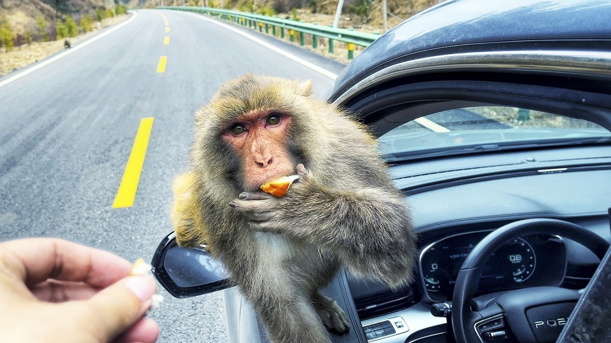 《你好，西藏！》又一次牵手之旅，依旧全程手机拍摄
