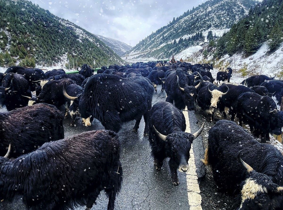 《你好，西藏！》又一次牵手之旅，依旧全程手机拍摄