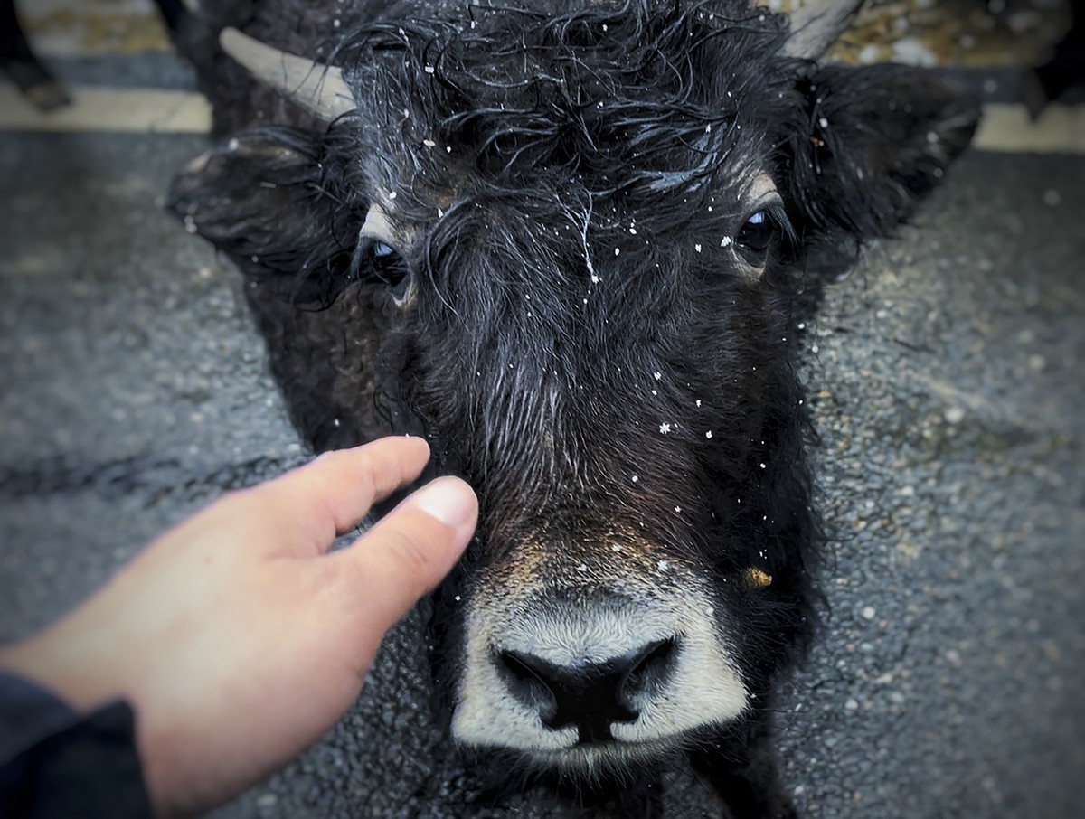 《你好，西藏！》又一次牵手之旅，依旧全程手机拍摄