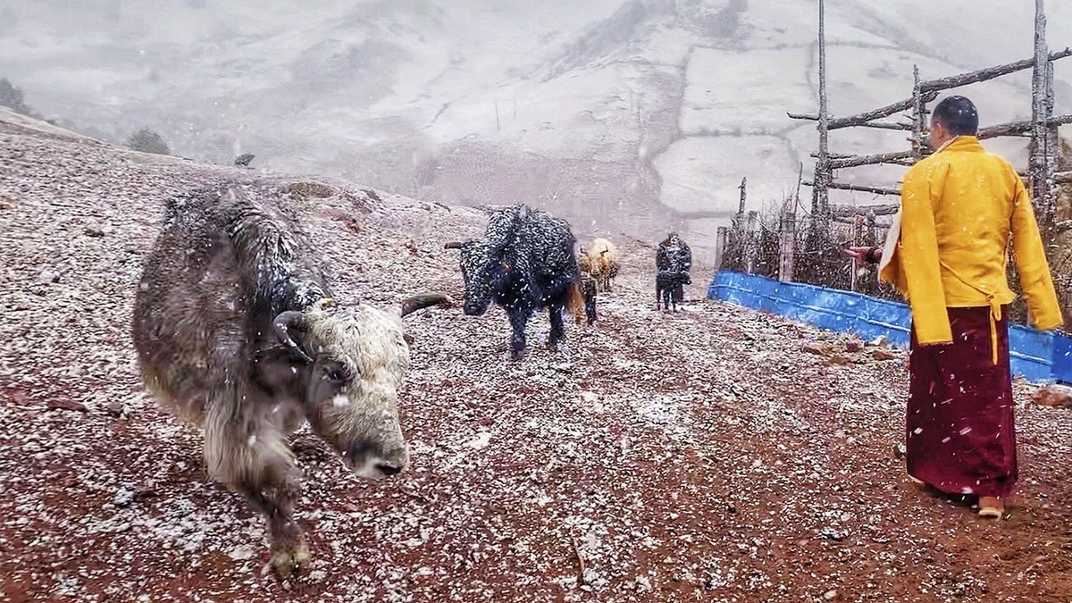 《你好，西藏！》又一次牵手之旅，依旧全程手机拍摄
