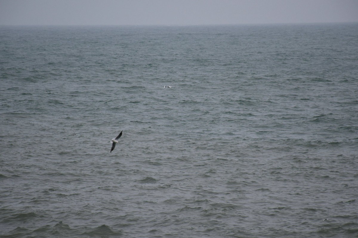 2023春节 桂粤行（23）水天一线  惊涛如诉