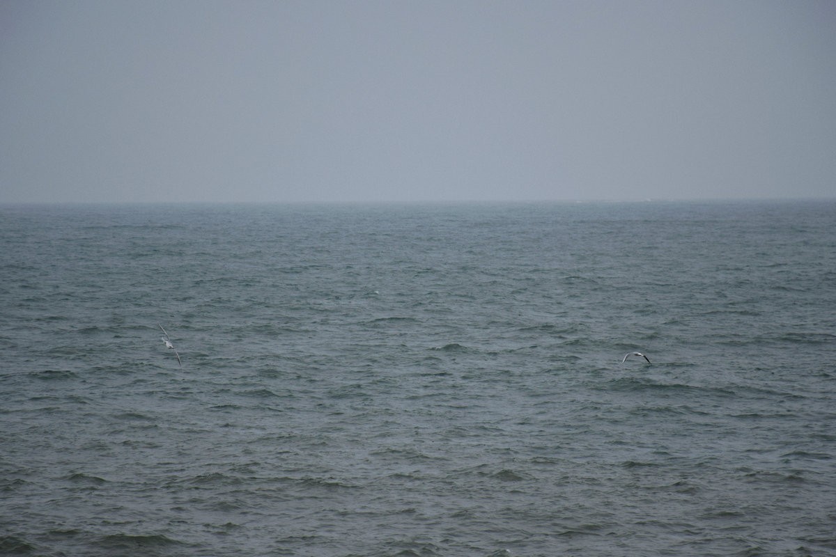 2023春节 桂粤行（23）水天一线  惊涛如诉