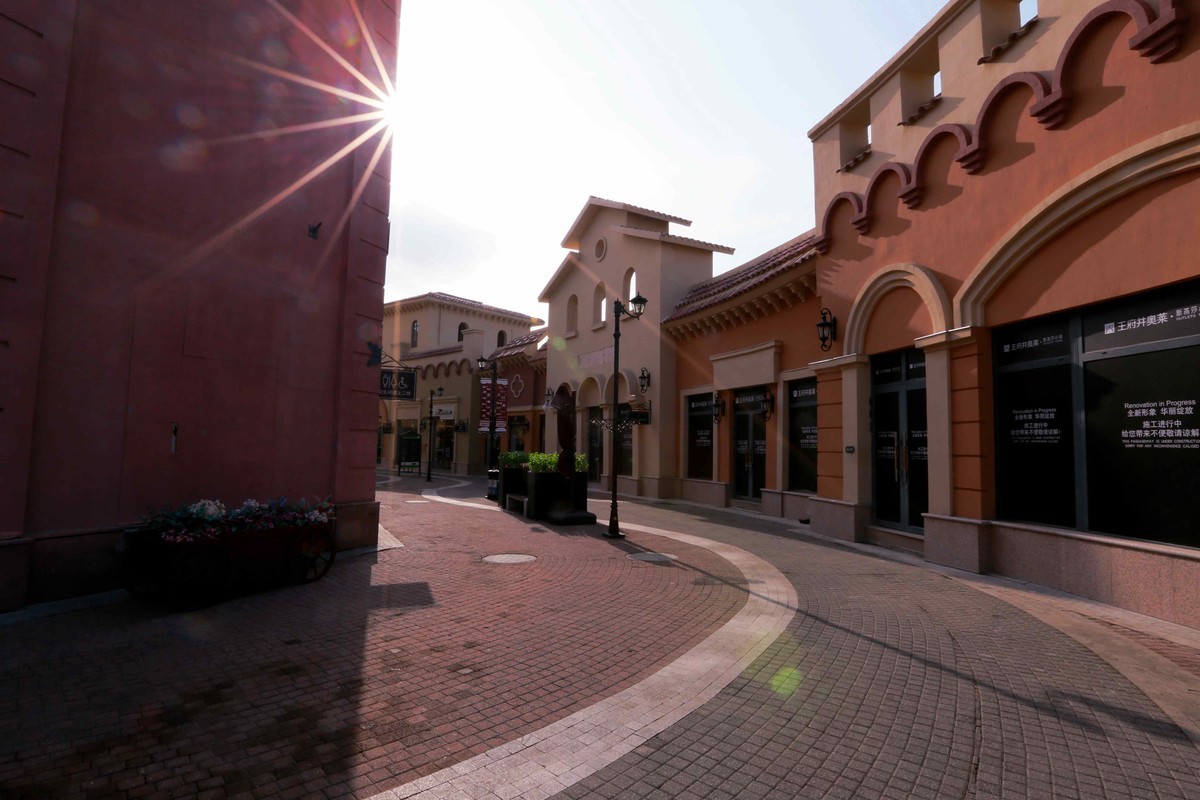 2024年元月拍燕莎逆光