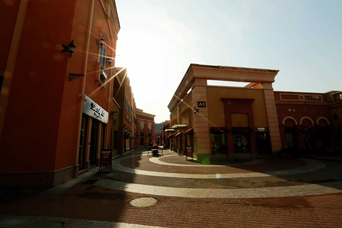 2024年元月拍燕莎逆光