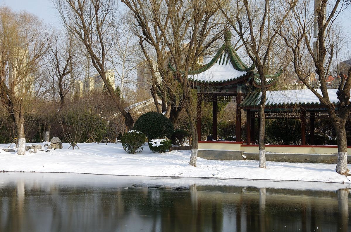 风雨送春归、飞雪迎春到
