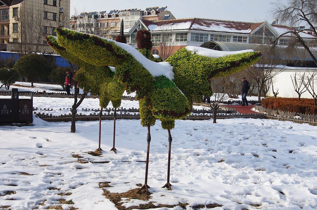 风雨送春归、飞雪迎春到