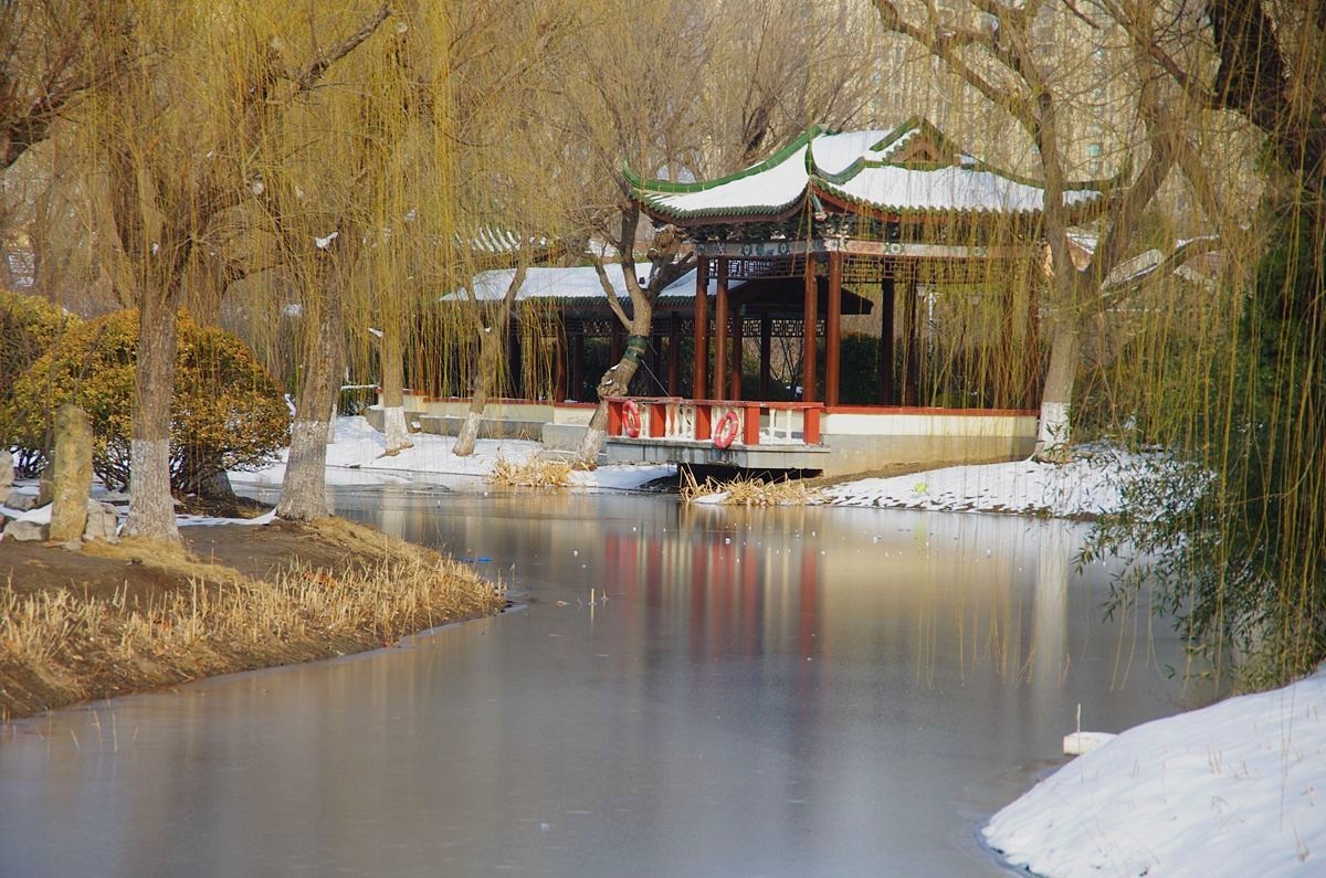 风雨送春归、飞雪迎春到