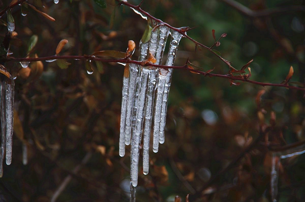 风雨送春归、飞雪迎春到