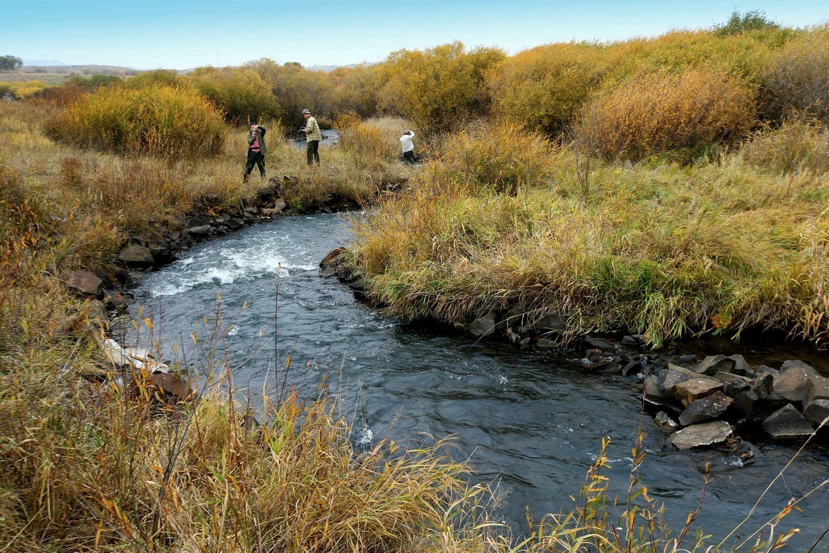 乌兰布统坝上木兰围场河湾湿地