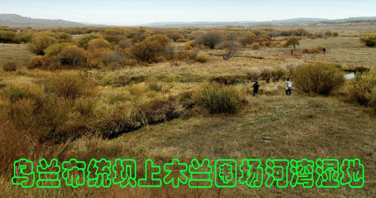 乌兰布统坝上木兰围场河湾湿地