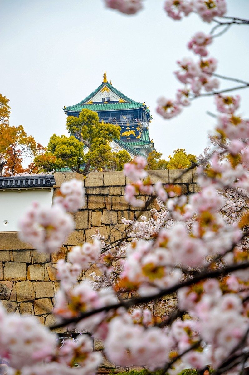 2019年樱花随拍-0929-21