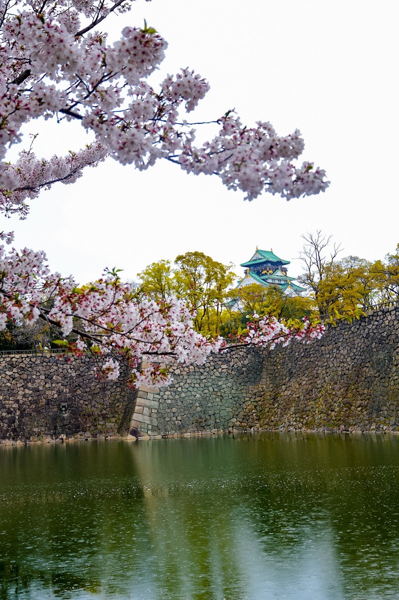 2019年樱花随拍-0929-21