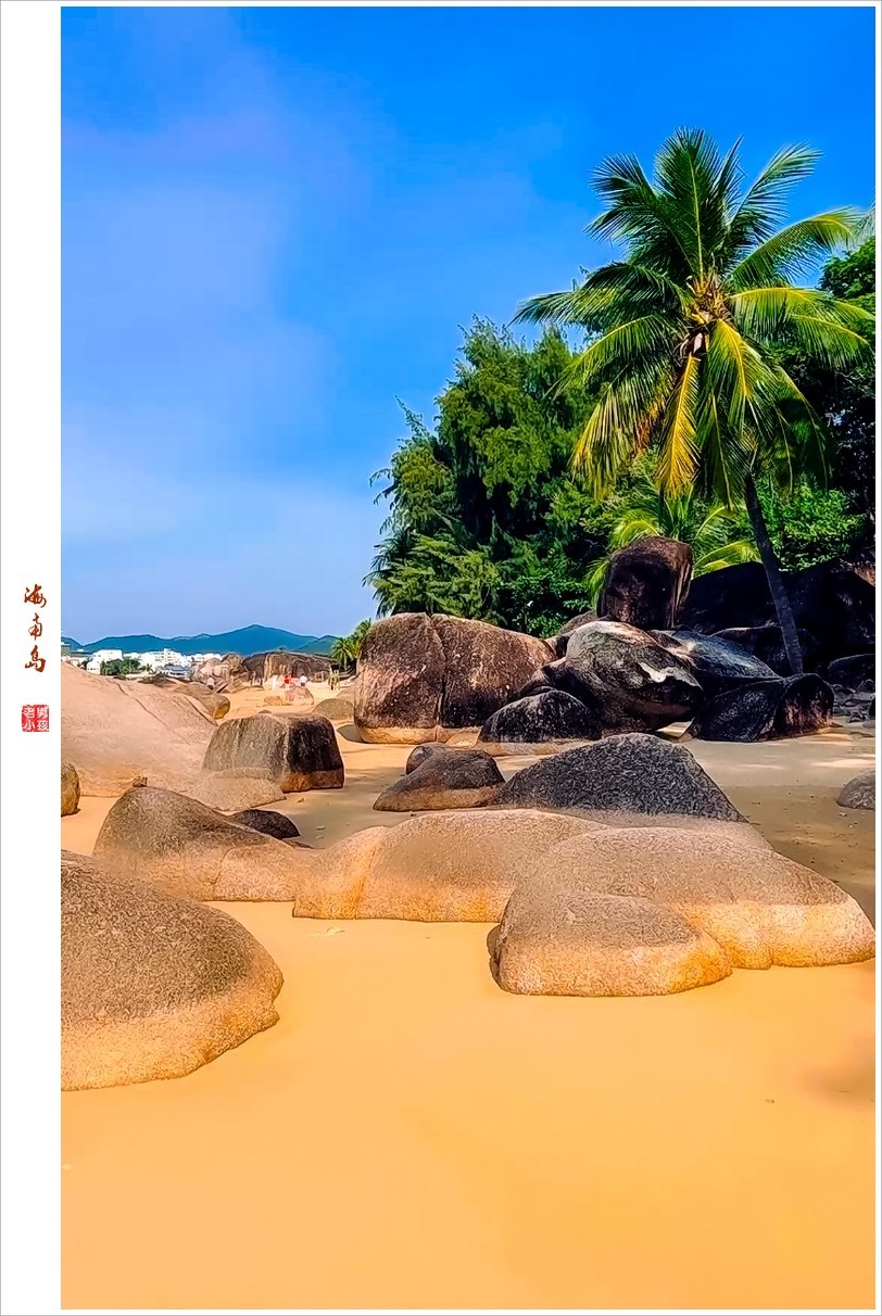 812_1212竖版 竖屏