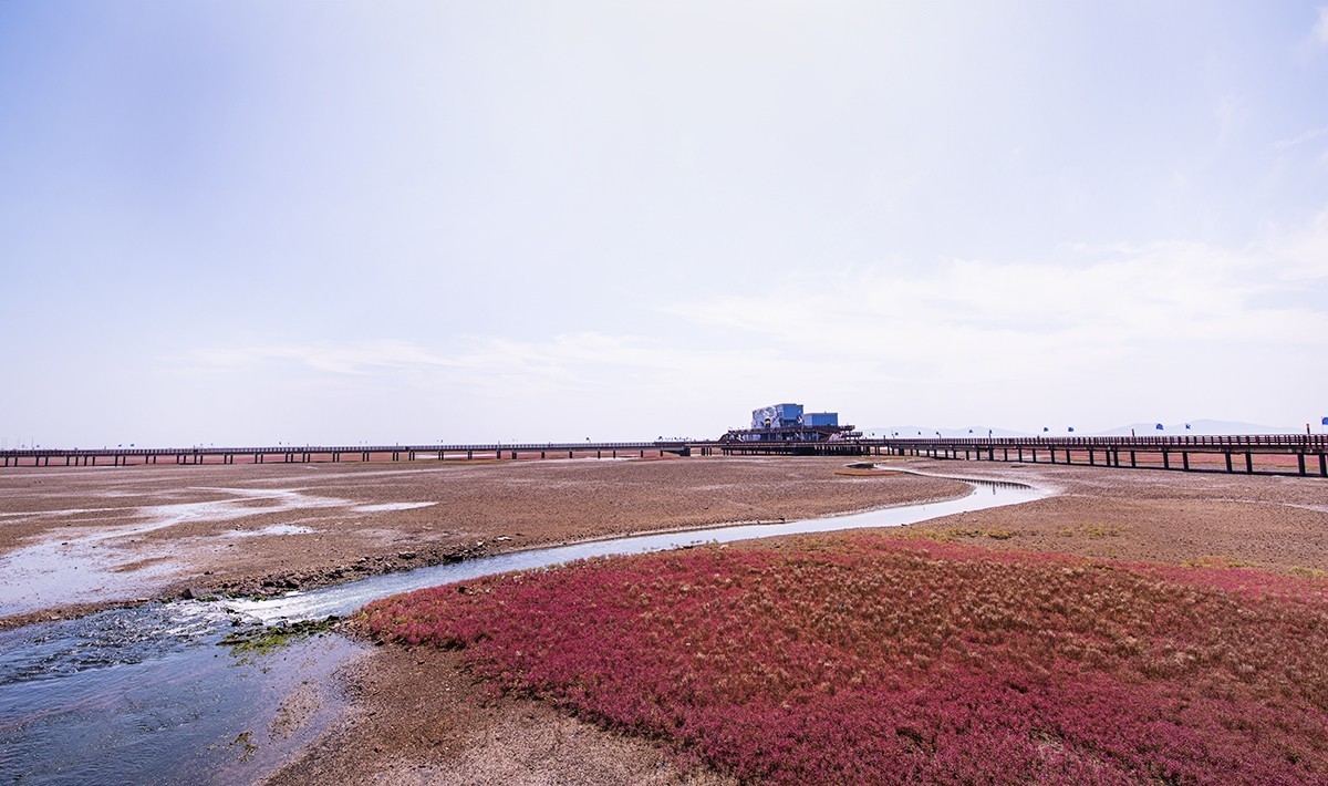 兴城  红海滩