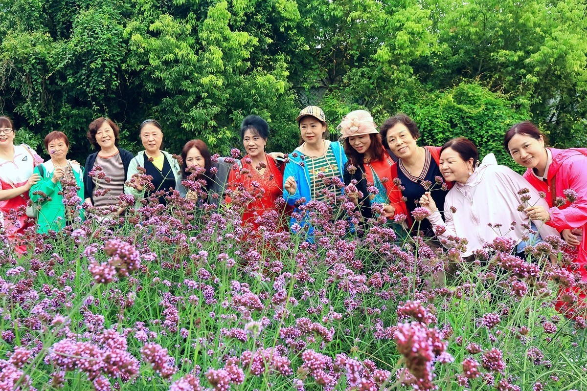 记实——喜乐年华乐团游邛海大石板村（完）