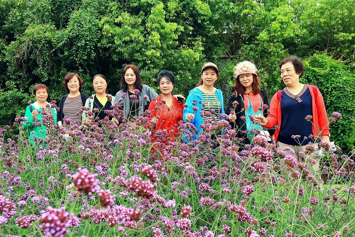 记实——喜乐年华乐团游邛海大石板村（完）