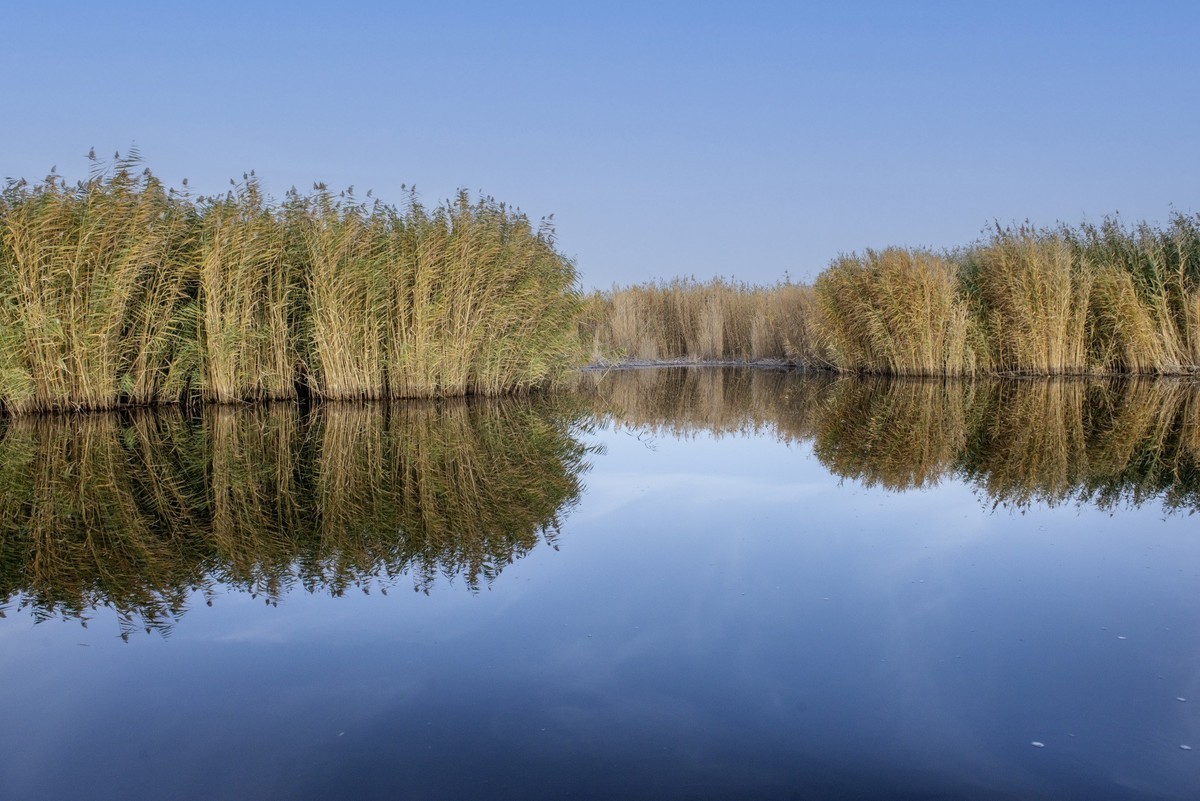 新疆旅拍二博斯腾湖掠影