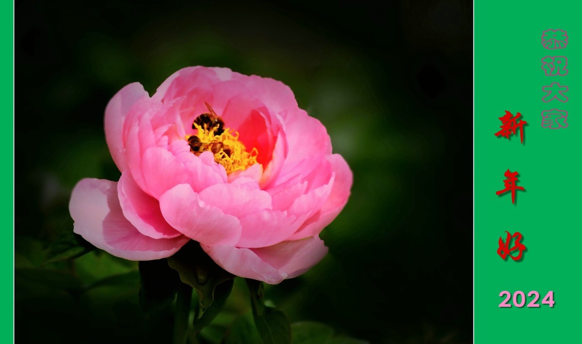 恭祝大家新年好（2024001）