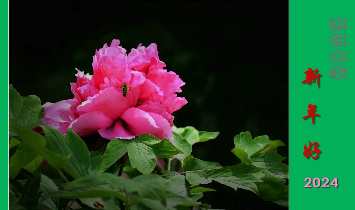 恭祝大家新年好（2024001）