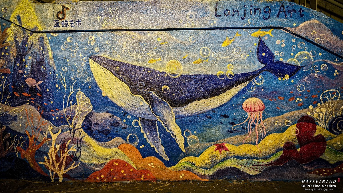 2024-05-08 李公楼地道涂鸦更新 补发