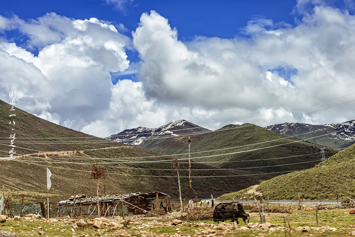 国道318 · 林芝风光（2）