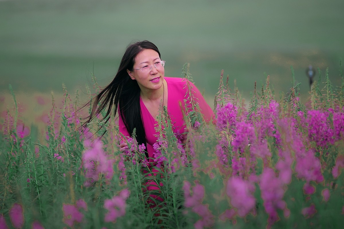 柳兰丛中的紫衣倩影