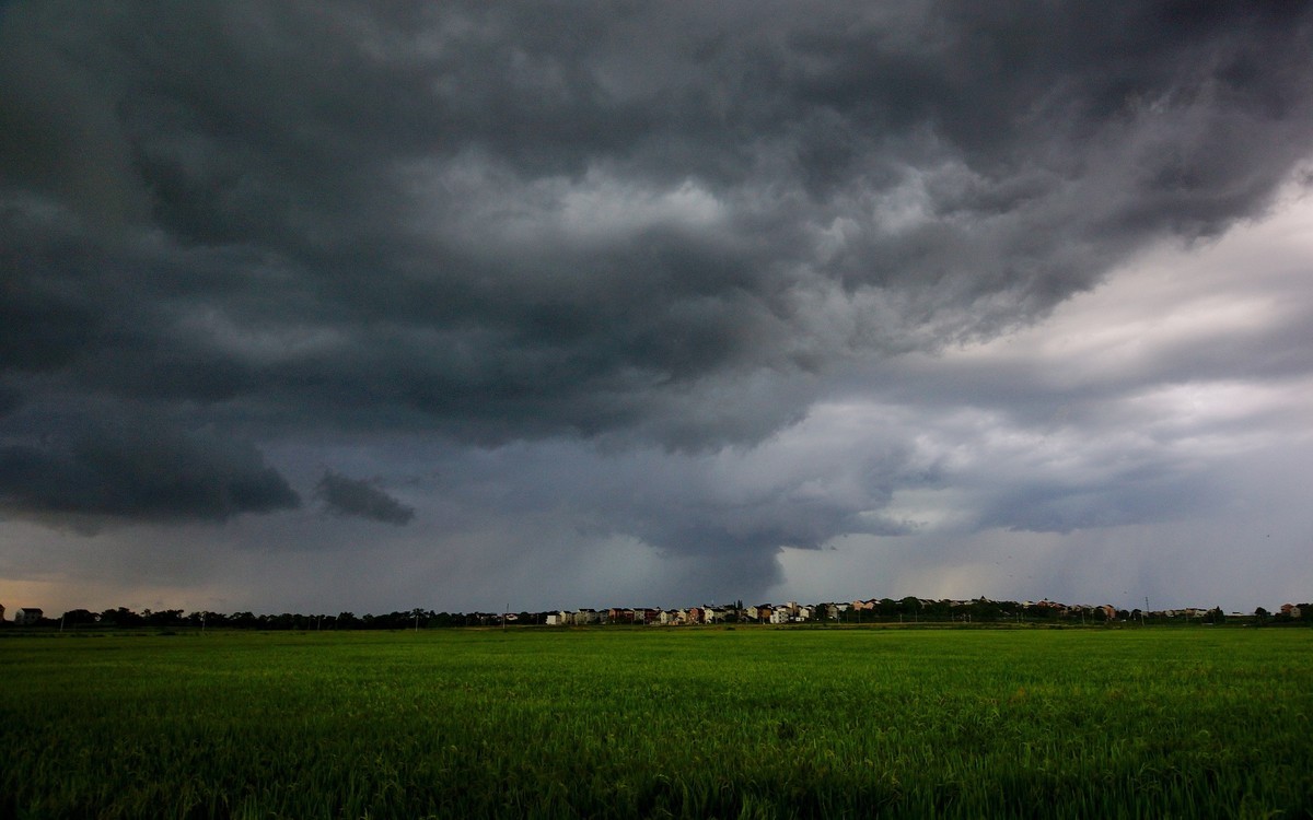 山 雨 欲 来 云 遮 天