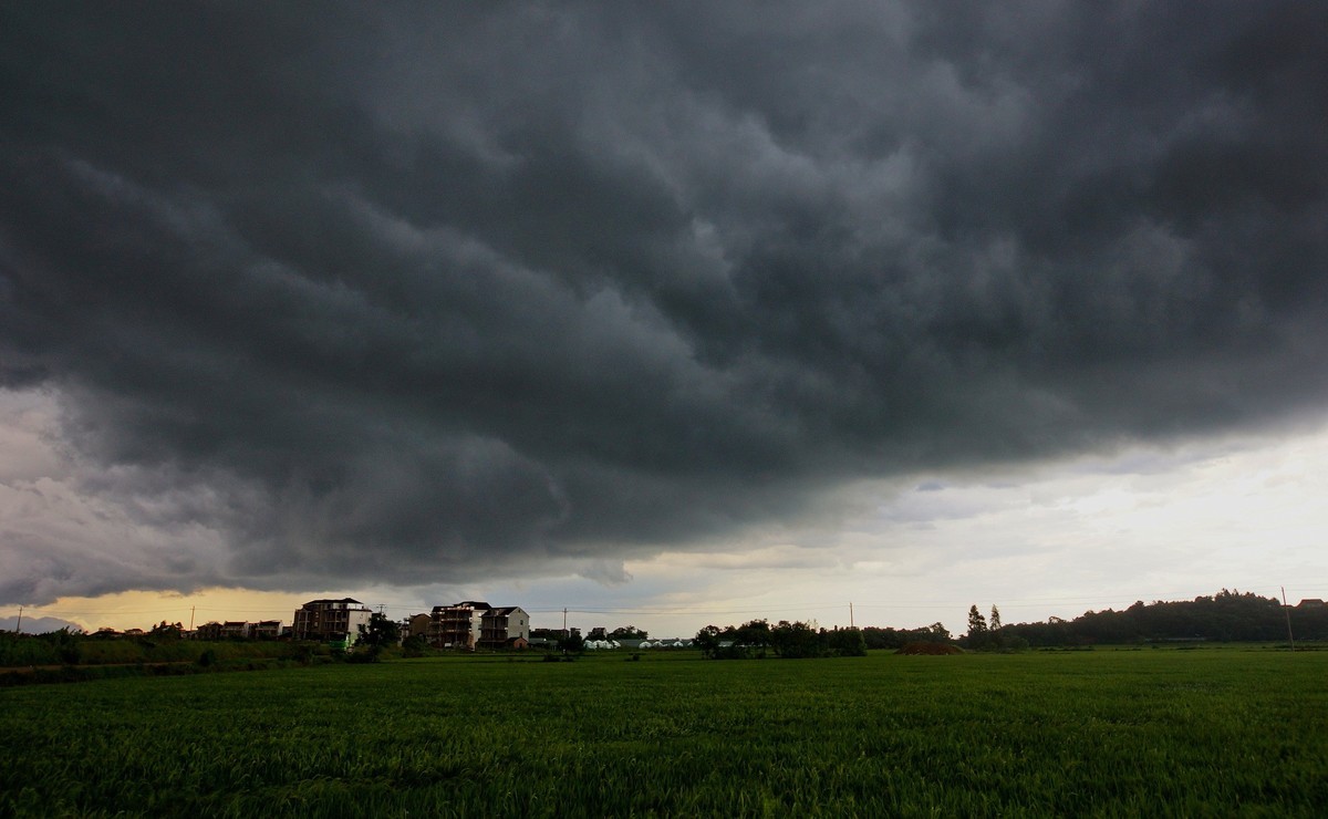 山 雨 欲 来 云 遮 天