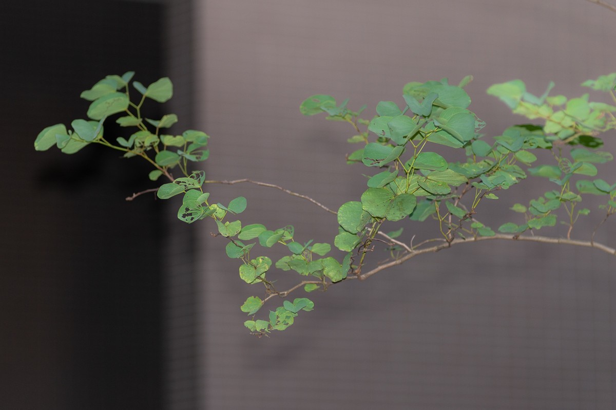 有钱难买我钟意