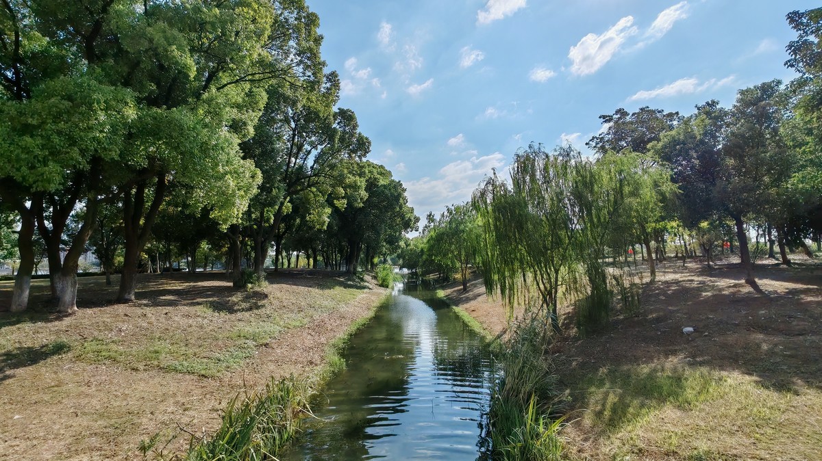 新机国庆实拍（汀棠公园）