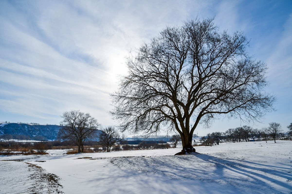 我只是把出去看到的随手记录下来（七十七）
