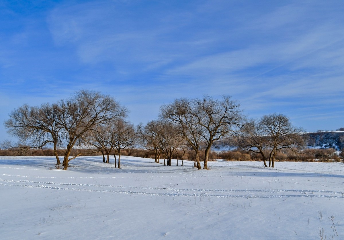 我只是把出去看到的随手记录下来（七十七）