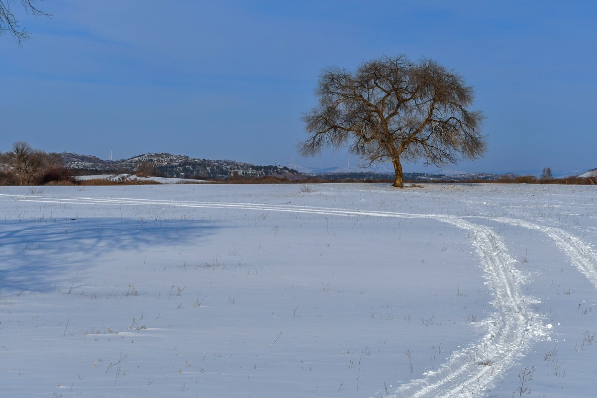 我只是把出去看到的随手记录下来（七十七）