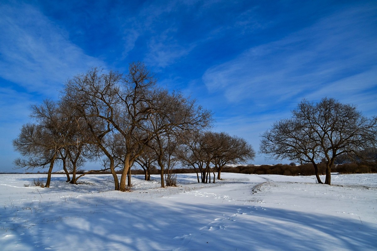 我只是把出去看到的随手记录下来（七十七）